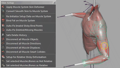 curso-rig-maya-musculatura
