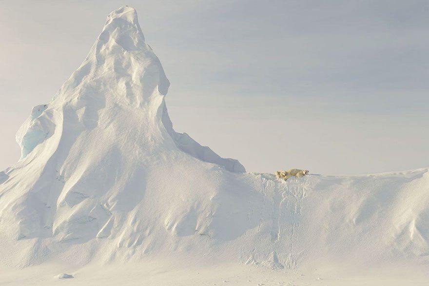 animum-fotos-ganadoras-national-geographic-11