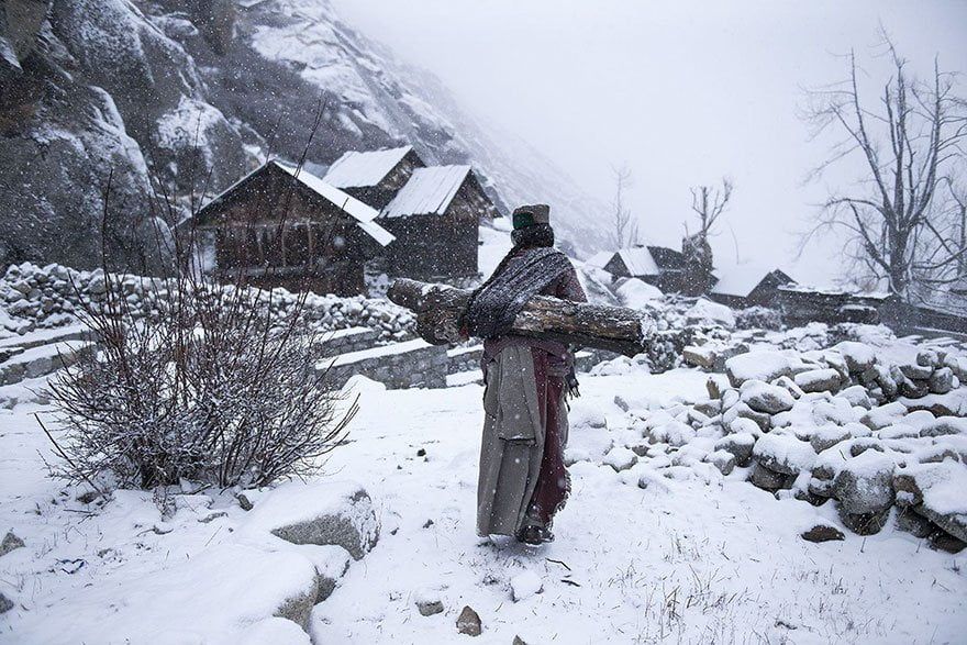 animum-fotos-ganadoras-national-geographic-8