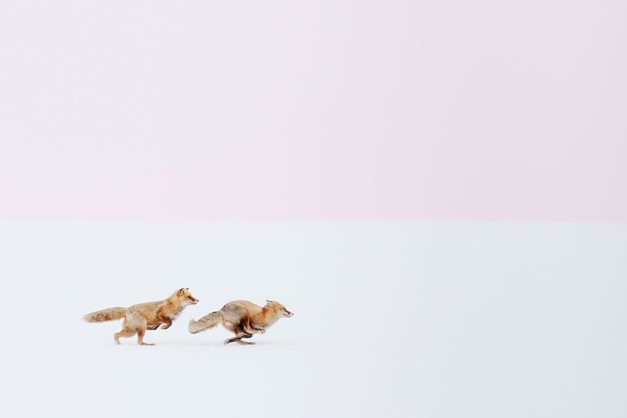 animum-fotos-ganadoras-national-geographic3