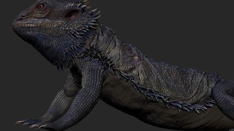 modelado-3d-mohanad-hossam-9