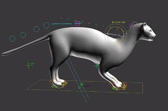 rigging