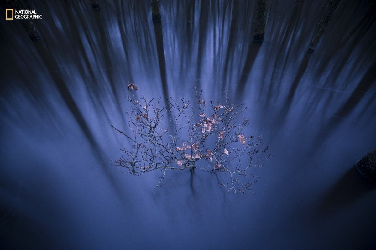 2-fotos-naturaleza