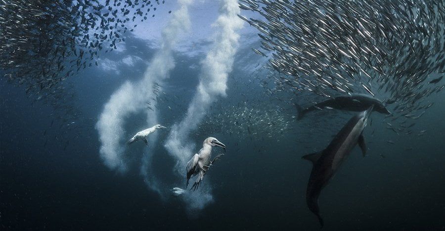 fotografías naturaleza