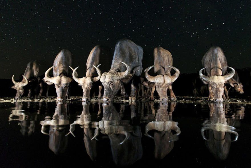 Sony World Photography Awards