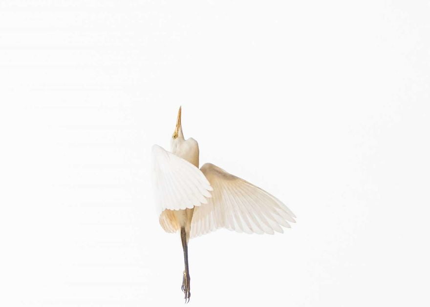 Sony World Photography Awards