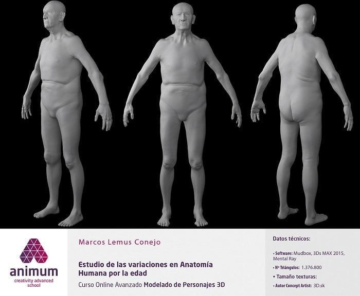 modelar anatomia humana