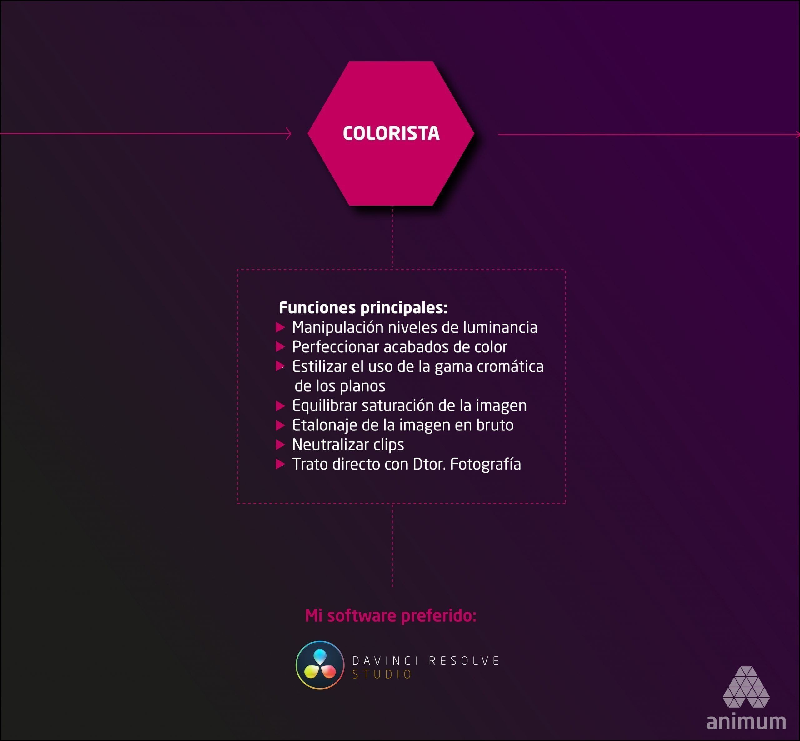 colorista digital animum