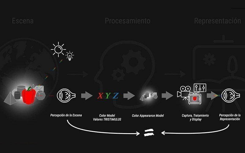 color management curso colorista animum