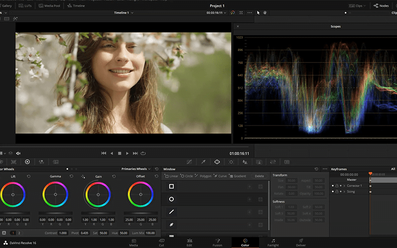 etalonaje con davinci resolve