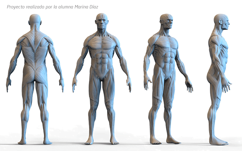 modelado de personajes 3d anatomia