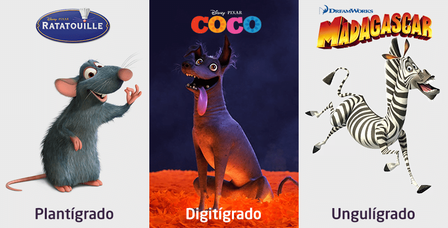 sistemas rigging 3d