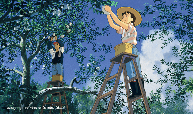películas de animación verano